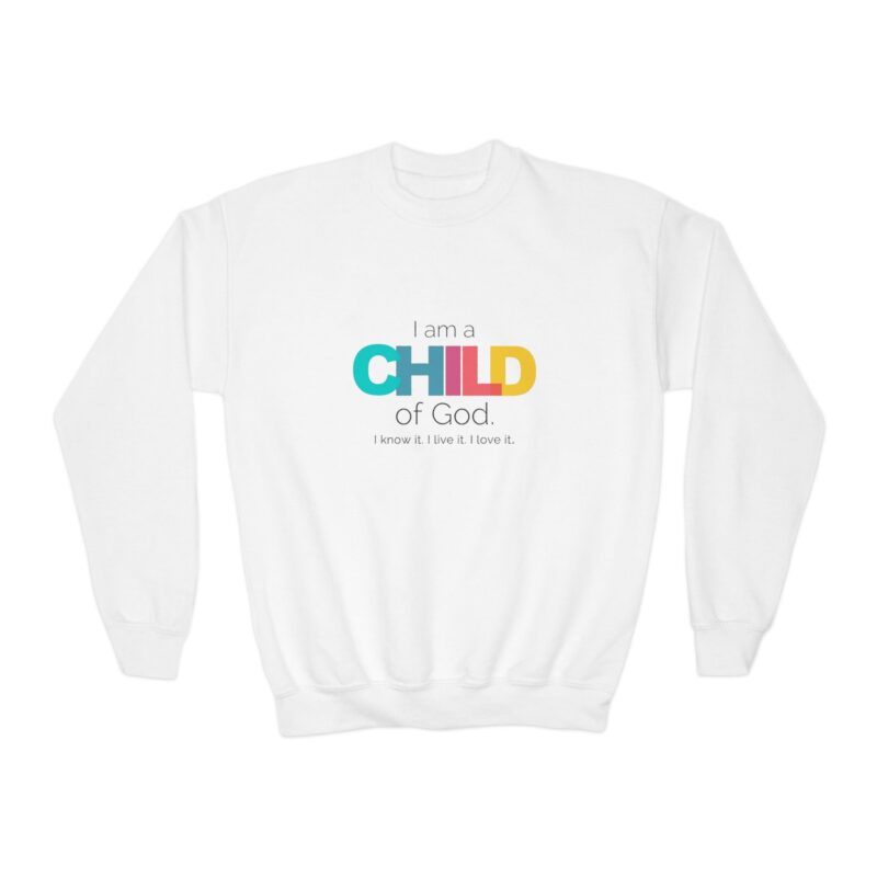 youth sweatshirt