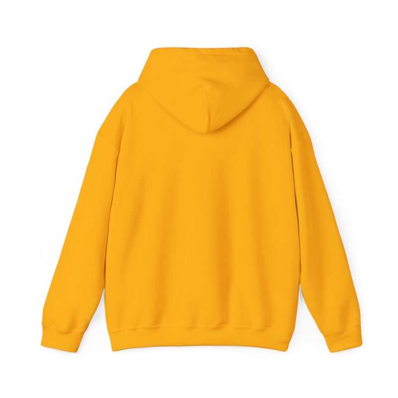 heavy blend hooded sweatshirt