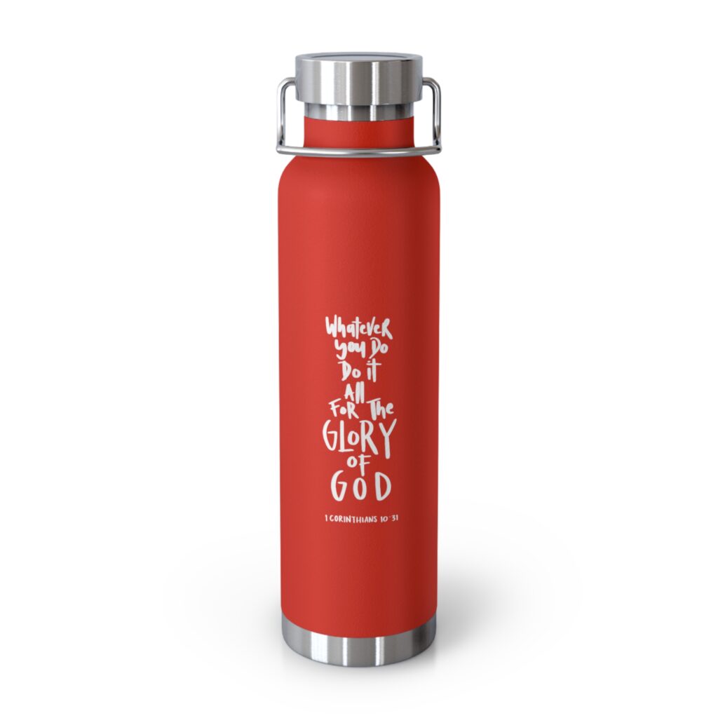 stainless insulated bottle