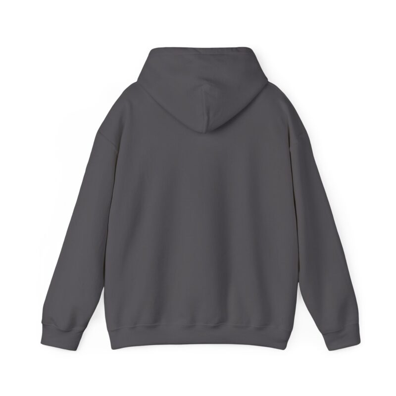 hoodie — courageous pastel text graphic hooded sweatshirt