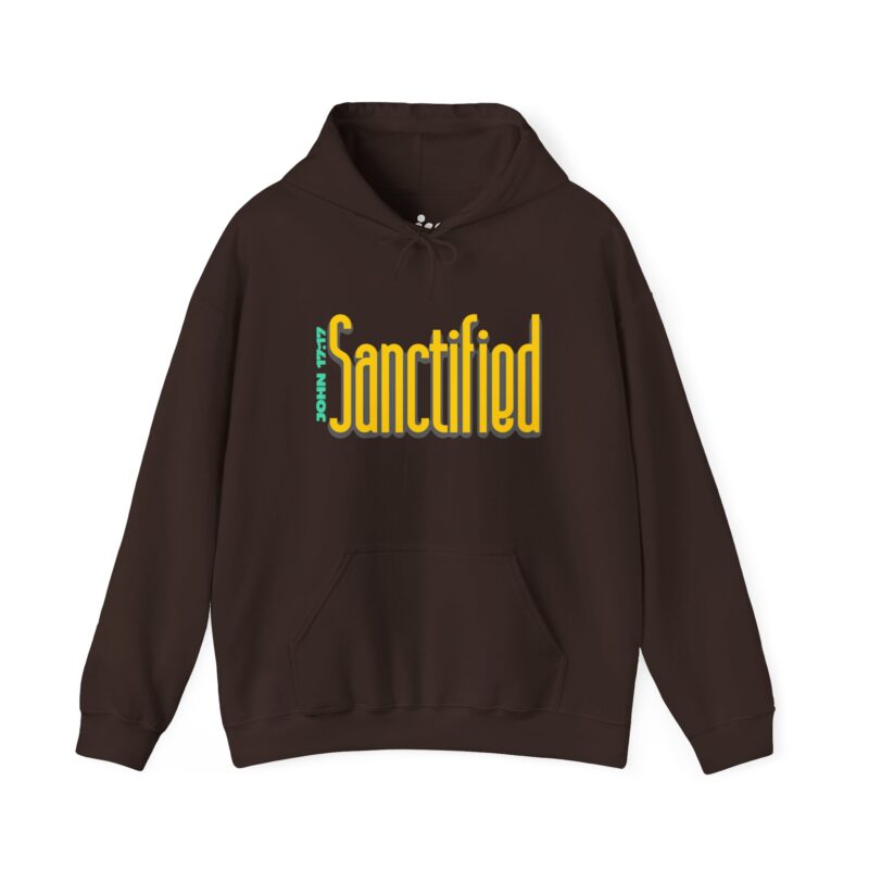 sanctified | christian hoodie