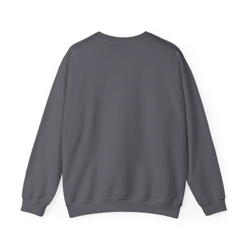 jesus saved my soul | christian sweatshirt